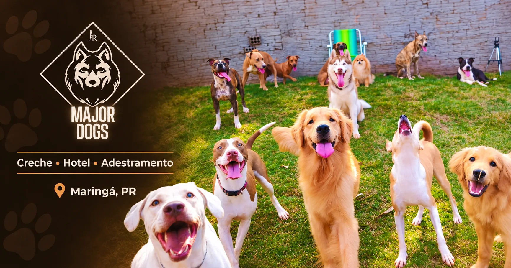 Marca Major Dogs com cães no espaço de convivência em Maringá